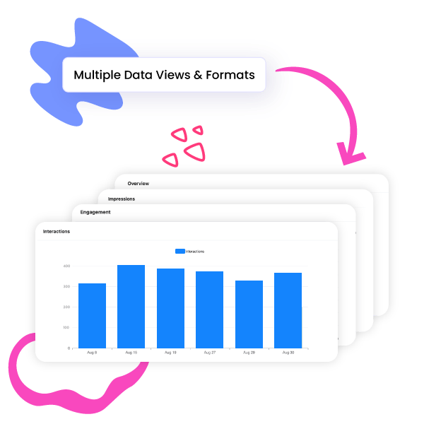 Multiple Data Views and Formats