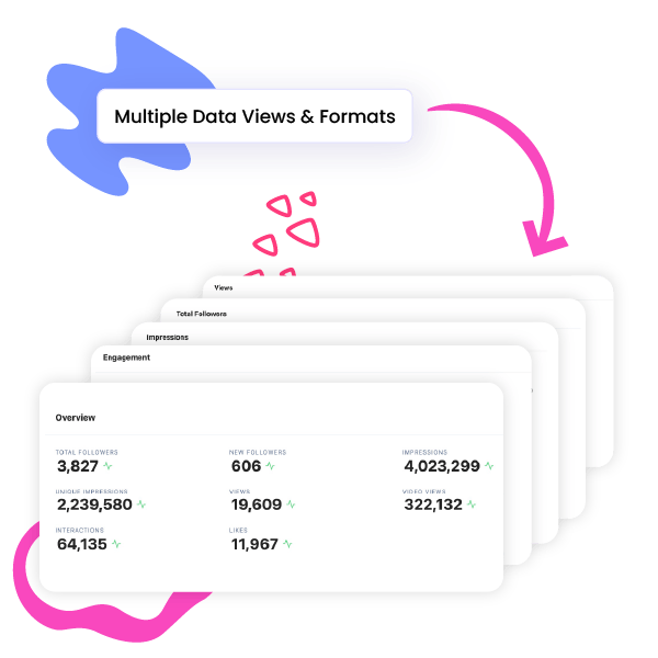 Multiple Data Views and Formats