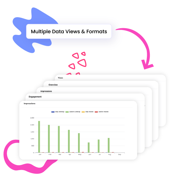 Multiple Data Views and Formats