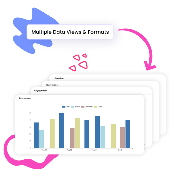 Multiple Data Views and Formats