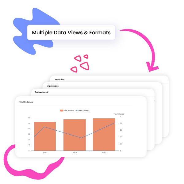 Multiple Data Views and Formats