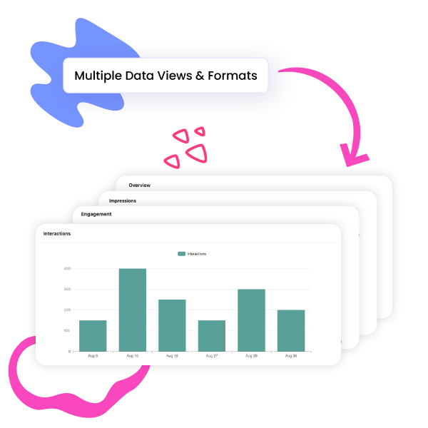 Multiple Data Views and Formats