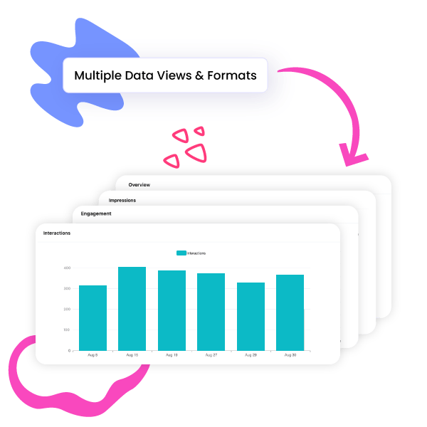 Multiple Data Views and Formats