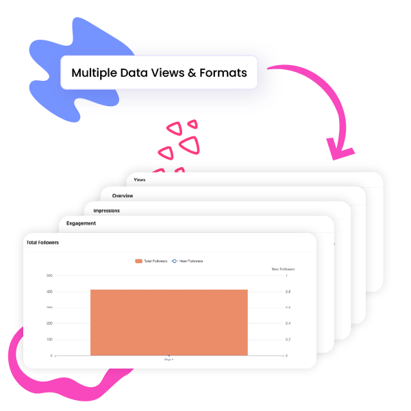 Multiple Data Views and Formats
