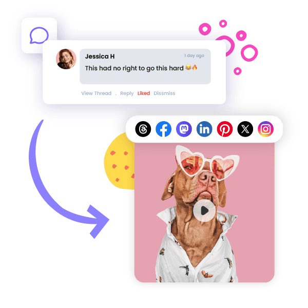 All Major Platforms Supported