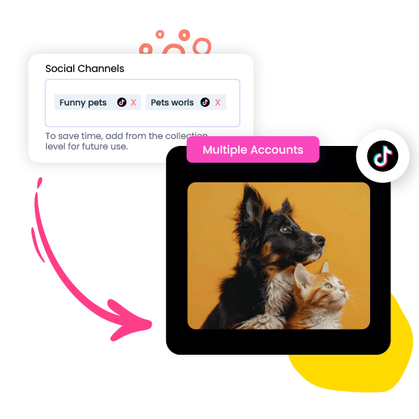 Manage Multiple TikTok Accounts